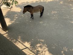 -石家庄市动物园