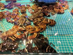 -驻海渔市(置信店)