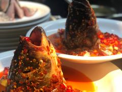 -坛宗剁椒鱼头(河西王府井店)