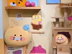 -KAKAO FRIENDS(弘大店)