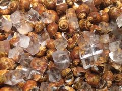 -金悦轩海鲜酒家(银河店)