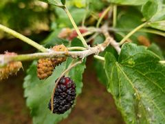 -北京金海湖景区