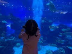 -成都浩海立方海洋公园