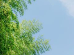 -杭州植物园