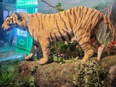 -陕西自然博物馆