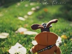 -瀛海足球主题公园