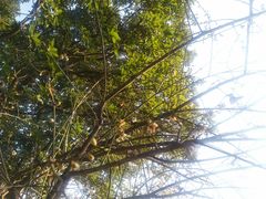 -乌山风景区