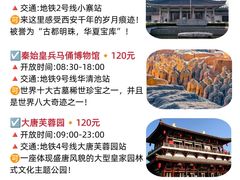 -秦始皇帝陵博物院(兵马俑)