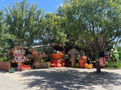 -南宫五洲植物乐园