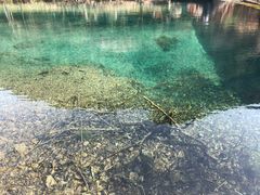 -宁波浙东大竹海景区