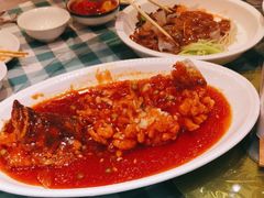 -紫光园(劲松店)