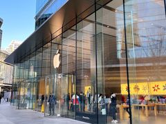 -Apple零售店(华贸购物中心店)