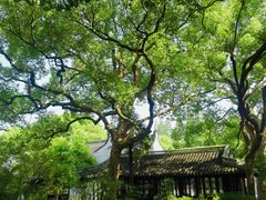-上海醉白池公园