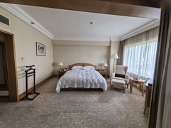 -南京维景国际大酒店(南京博物院店)