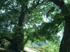 -福建泉州仙公山风景名胜区