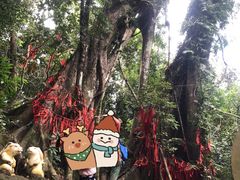 -七仙岭温泉国家森林公园