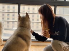 -Husky Go! 哈士奇体验馆·宠物咖啡厅狗咖