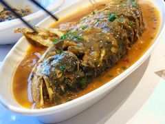 -解家河南菜(商鼎路店)