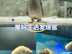 -华夏文旅西安度假区