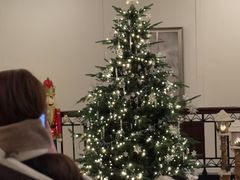 -上海和平饭店-华懋阁 The Cathay Room