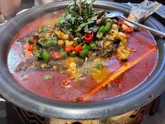 -探鱼·鲜青椒爽麻烤鱼(西南商都店)