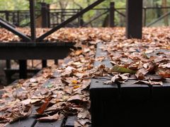 -宝岩生态观光园