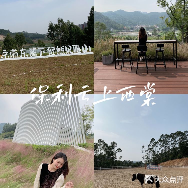 保利云上西棠｜庄园式度假小镇秋游好去处～