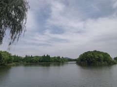 -上海市保健医疗中心