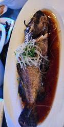 -伊莎贝拉婚礼庄园(顾村店)