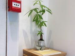 -不凡脑禅境·养生·舒压调理SPA(华发世纪城店)