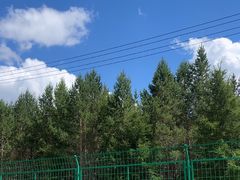 -塞罕坝国家级自然保护区