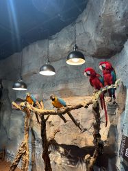 -Zoolung Zoolung动物主题公园(海信广场店)