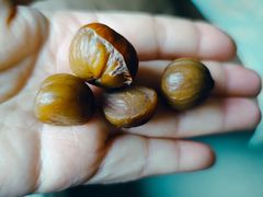 -秋栗香(复兴门外大街甲7号院店)