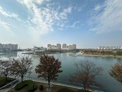 -东方美谷JW万豪酒店·The lounge大堂吧