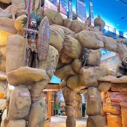 -卡通尼·Safari非洲探索乐园·生日会(金桥国际商业广场店)