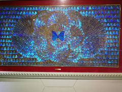 -上海昆虫博物馆