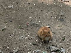-天津盘山风景名胜区