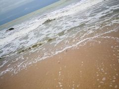 -那琴半岛地质海洋公园