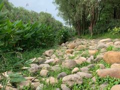 -新江湾城公园