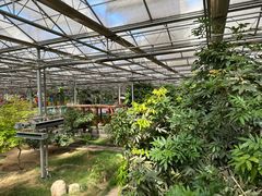 -管中炸鸡(建国道店)