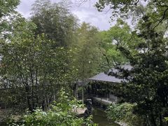 -南山植物园