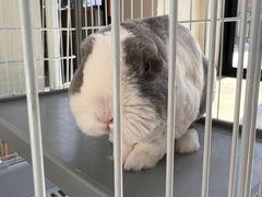 -小意思咖啡店(草桥店)