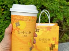 -奈雪的茶(正弘城PRO+店)