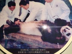 -四川大学博物馆