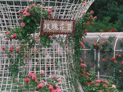 -太阳宫公园