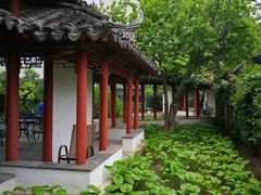 -亮马河饭店翠雅咖啡厅