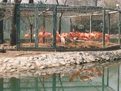 景点-郑州市动物园