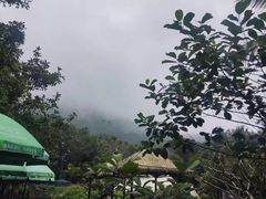 -呀诺达热带雨林