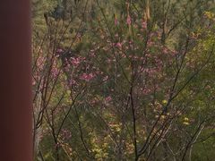 -白云山风景名胜区