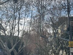 -张乐平故居